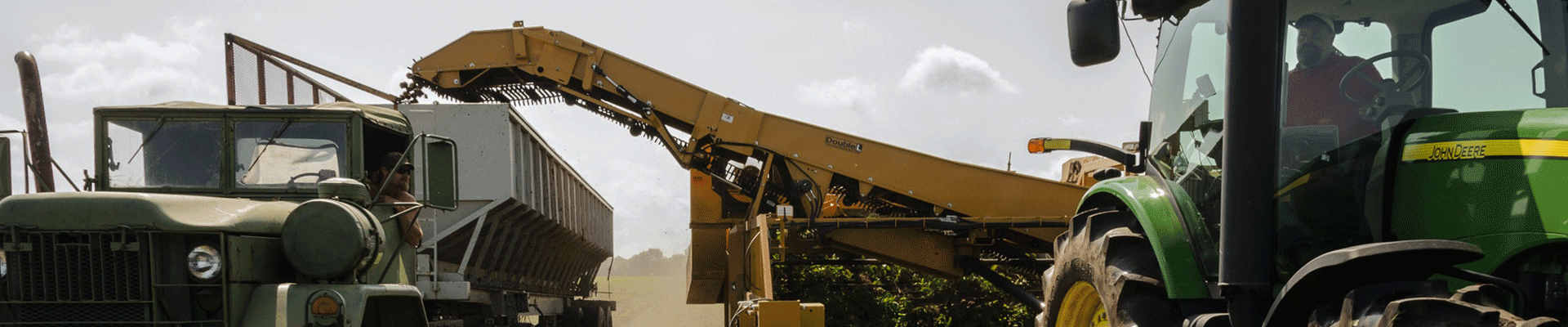 SEGURO AGROPECUARIO